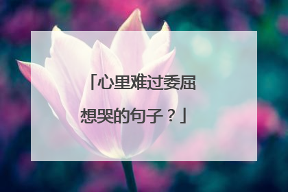 心里难过委屈想哭的句子？