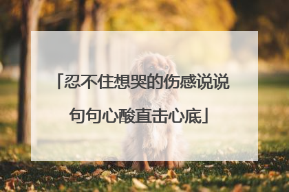 忍不住想哭的伤感说说 句句心酸直击心底