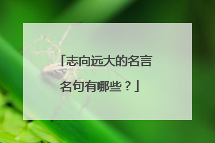 志向远大的名言名句有哪些？