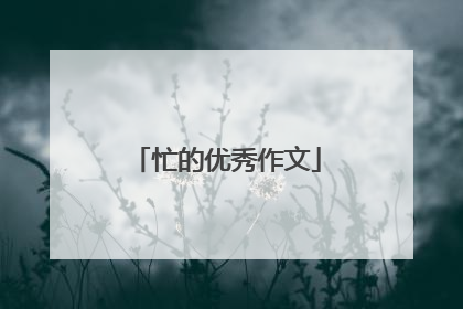忙的优秀作文