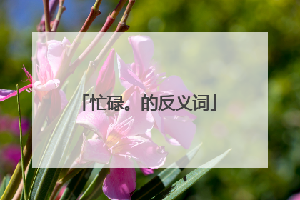 忙碌。的反义词