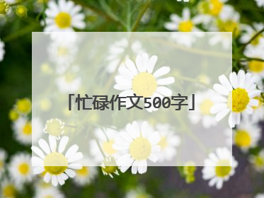 忙碌作文500字