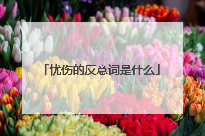 忧伤的反意词是什么