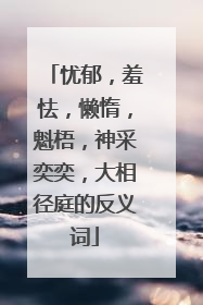 忧郁，羞怯，懒惰，魁梧，神采奕奕，大相径庭的反义词