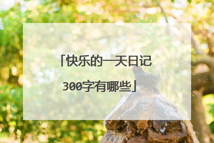 快乐的一天日记300字有哪些