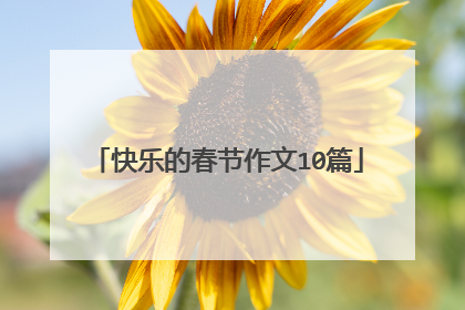 快乐的春节作文10篇