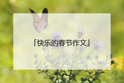 快乐的春节作文