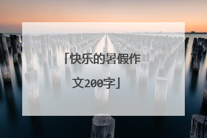 快乐的暑假作文200字