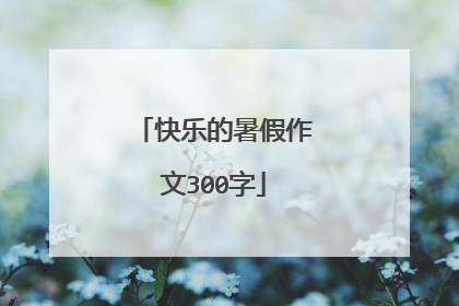 快乐的暑假作文300字