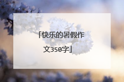 快乐的暑假作文350字