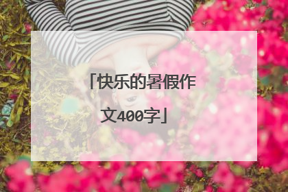 快乐的暑假作文400字