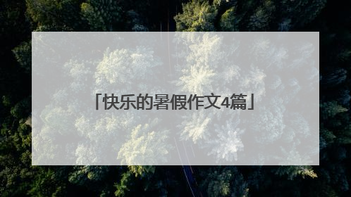 快乐的暑假作文4篇