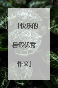 快乐的暑假优秀作文