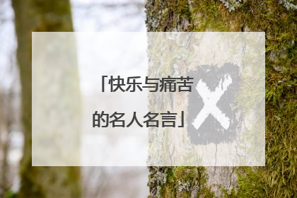 快乐与痛苦的名人名言