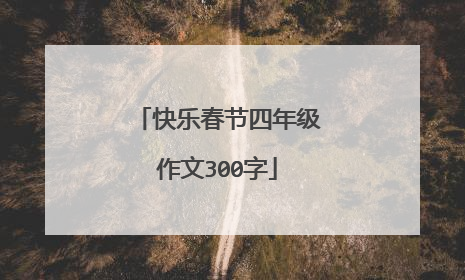 快乐春节四年级作文300字