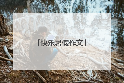 快乐暑假作文