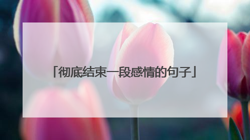 彻底结束一段感情的句子