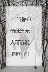 当你心情低落无人可诉说的句子