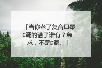 当你老了复音口琴C调的谱子谁有？急求，不是D调。