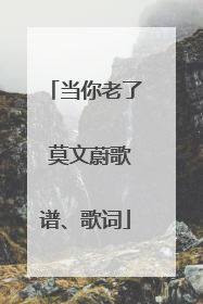 当你老了 莫文蔚歌谱、歌词