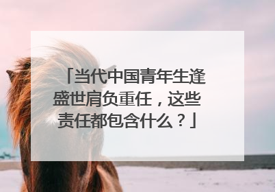 当代中国青年生逢盛世肩负重任，这些责任都包含什么？