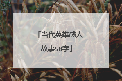 当代英雄感人故事50字