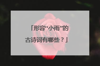 形容“小雨”的古诗词有哪些？