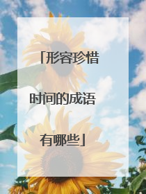 形容珍惜时间的成语有哪些