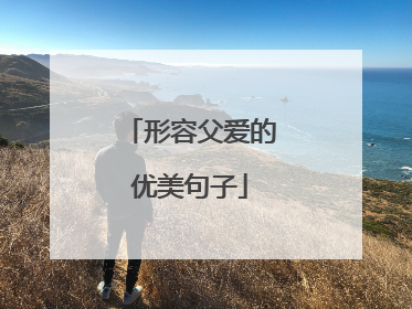 形容父爱的优美句子