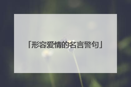 形容爱情的名言警句