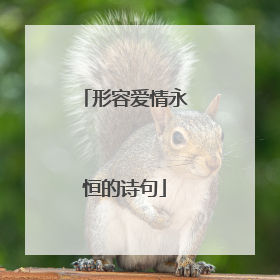 形容爱情永恒的诗句