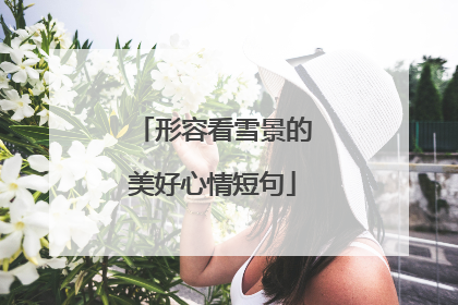 形容看雪景的美好心情短句