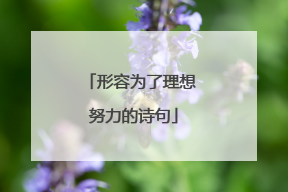 形容为了理想努力的诗句