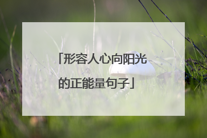 形容人心向阳光的正能量句子