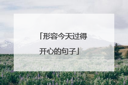 形容今天过得开心的句子