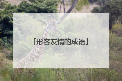 形容友情的成语
