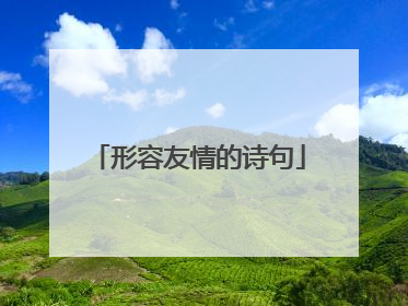 形容友情的诗句