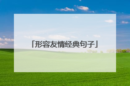 形容友情经典句子