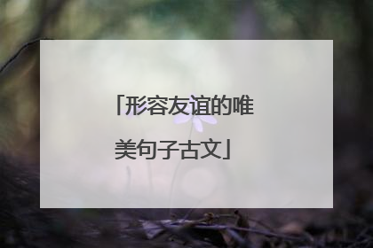 形容友谊的唯美句子古文