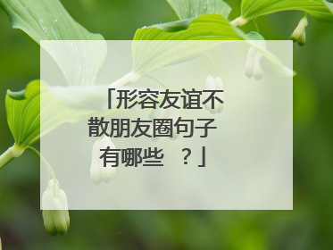 形容友谊不散朋友圈句子有哪些 ？