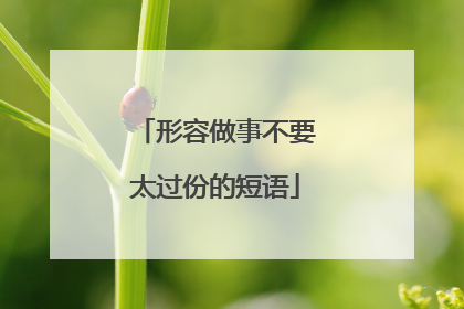 形容做事不要太过份的短语