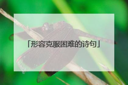 形容克服困难的诗句