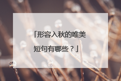 形容入秋的唯美短句有哪些?