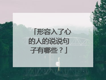 形容入了心的人的说说句子有哪些？