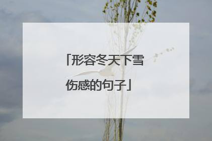 形容冬天下雪伤感的句子