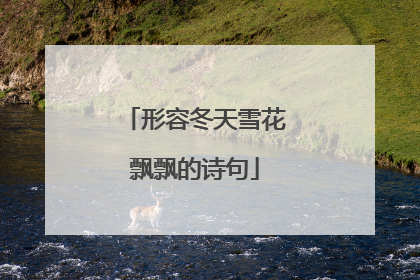 形容冬天雪花飘飘的诗句