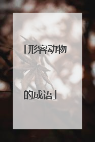 形容动物的成语