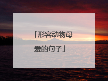 形容动物母爱的句子