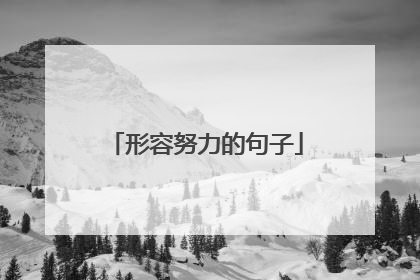 形容努力的句子