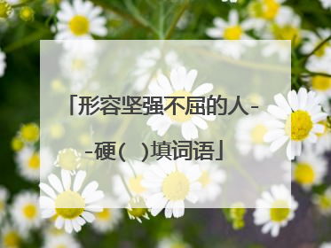 形容坚强不屈的人--硬( )填词语